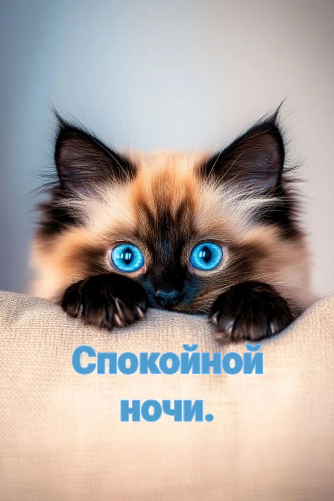 #открыткиспокойнойночи #сладкихснов #котики #милыеоткрытки #милыепоздравления #красивые...