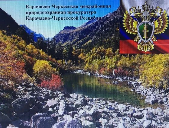 ⚡️ Карачаево-Черкесская межрайонная природоохранная прокуратура в судебном порядке доби...