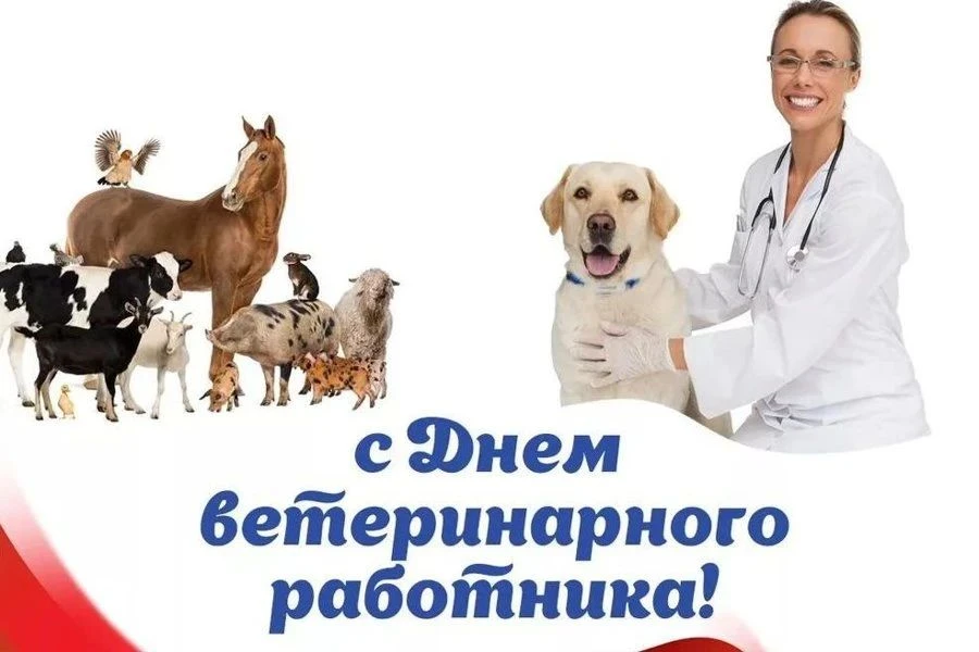 С Днем ветеринарного работника 🐾