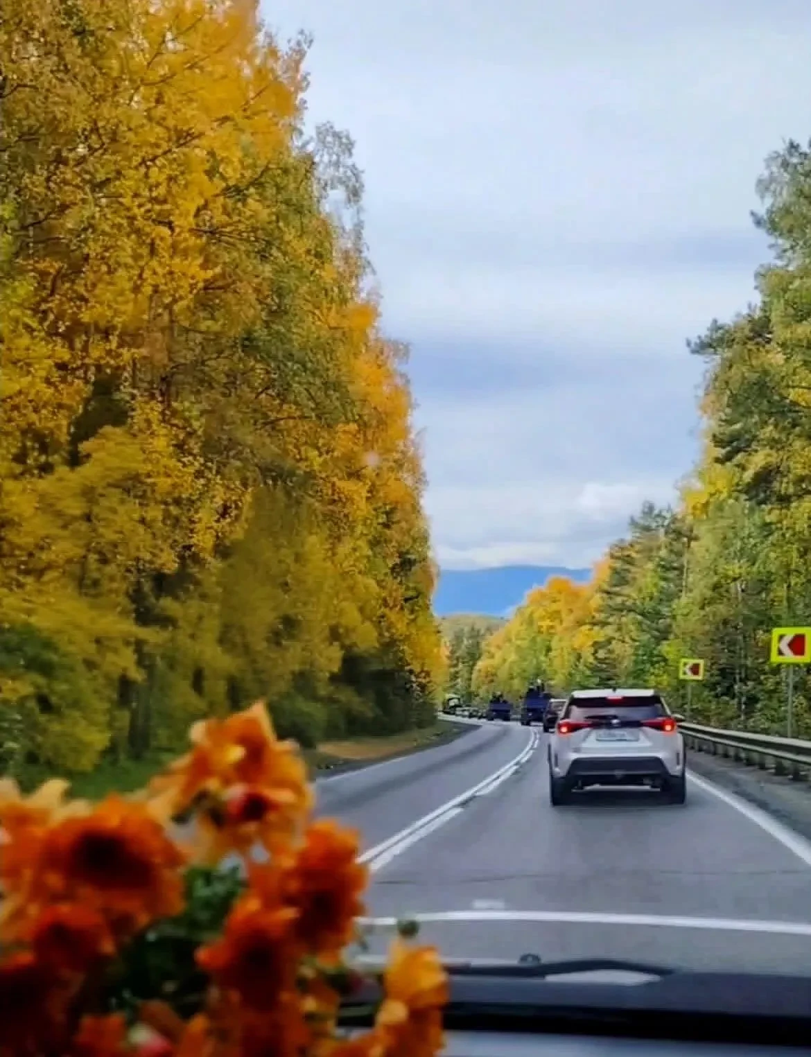 Осенний путь на Байкал🌲🚘🍂