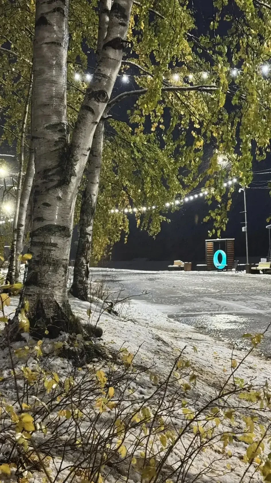 СТРЕЖЕВСКИЕ ЗАРИСОВКИ 📸👍
