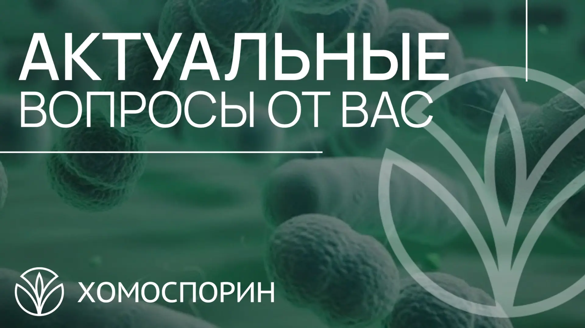 ❓Какие сроки годности у 3 упаковок?