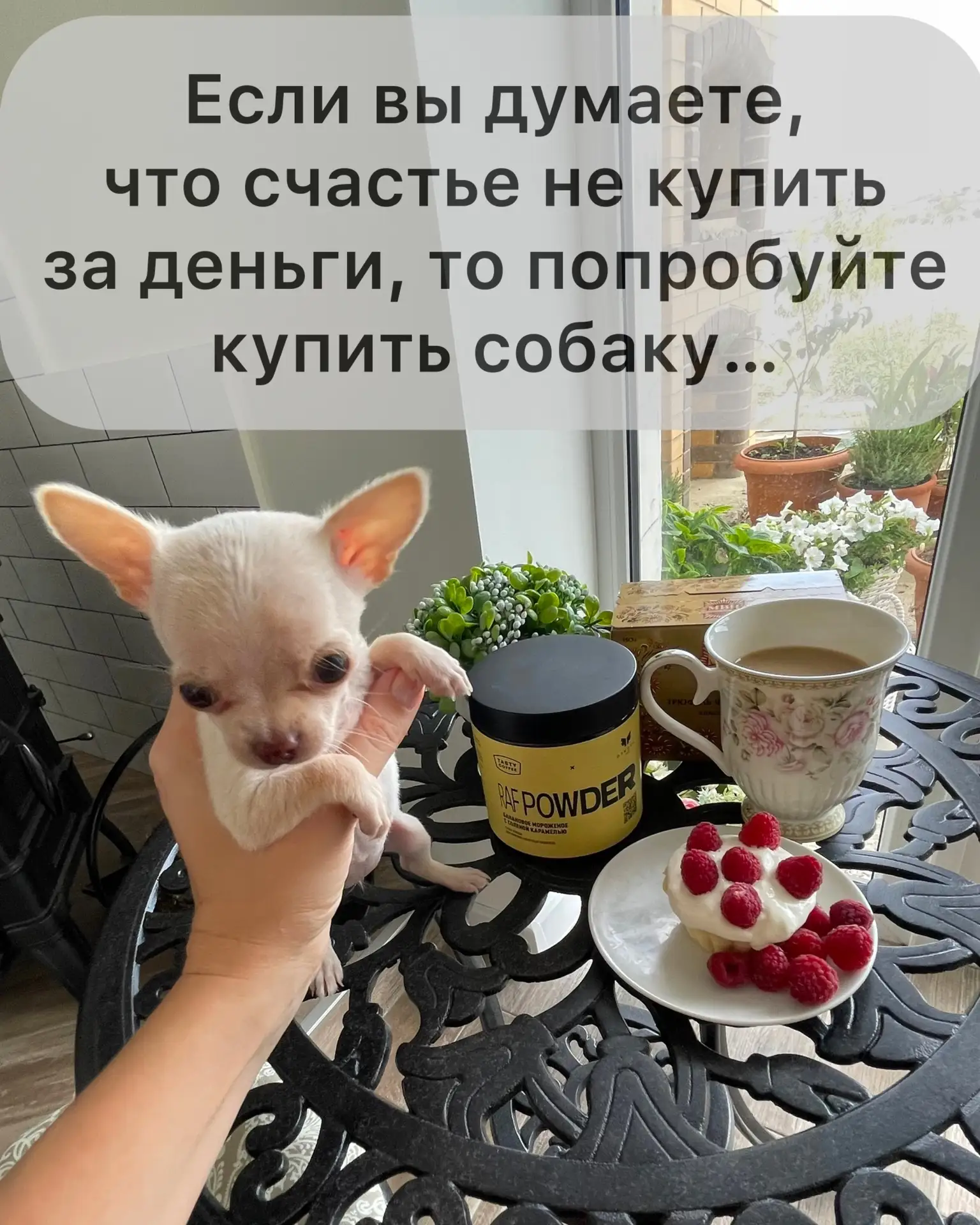 А ещё сегодня 2 года рахат лукумчику сердец нашей семьи, нашей Ляле🤍

Близкие знают, сколько было с