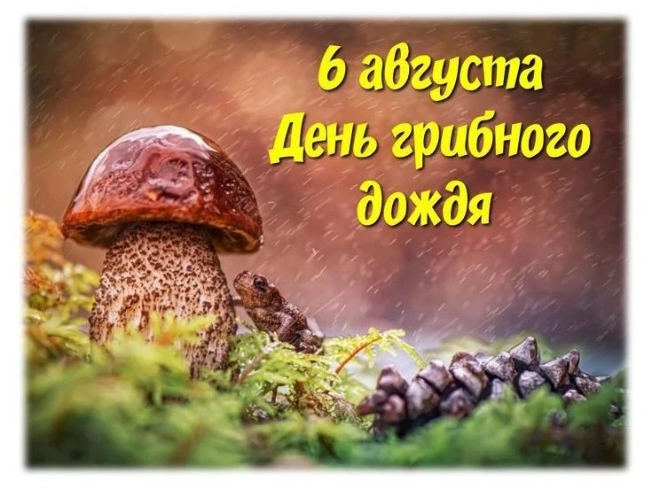 6 августа в группе «Пчёлки» прошёл волшебный «День грибного дождя»! 🍄🌧️✨