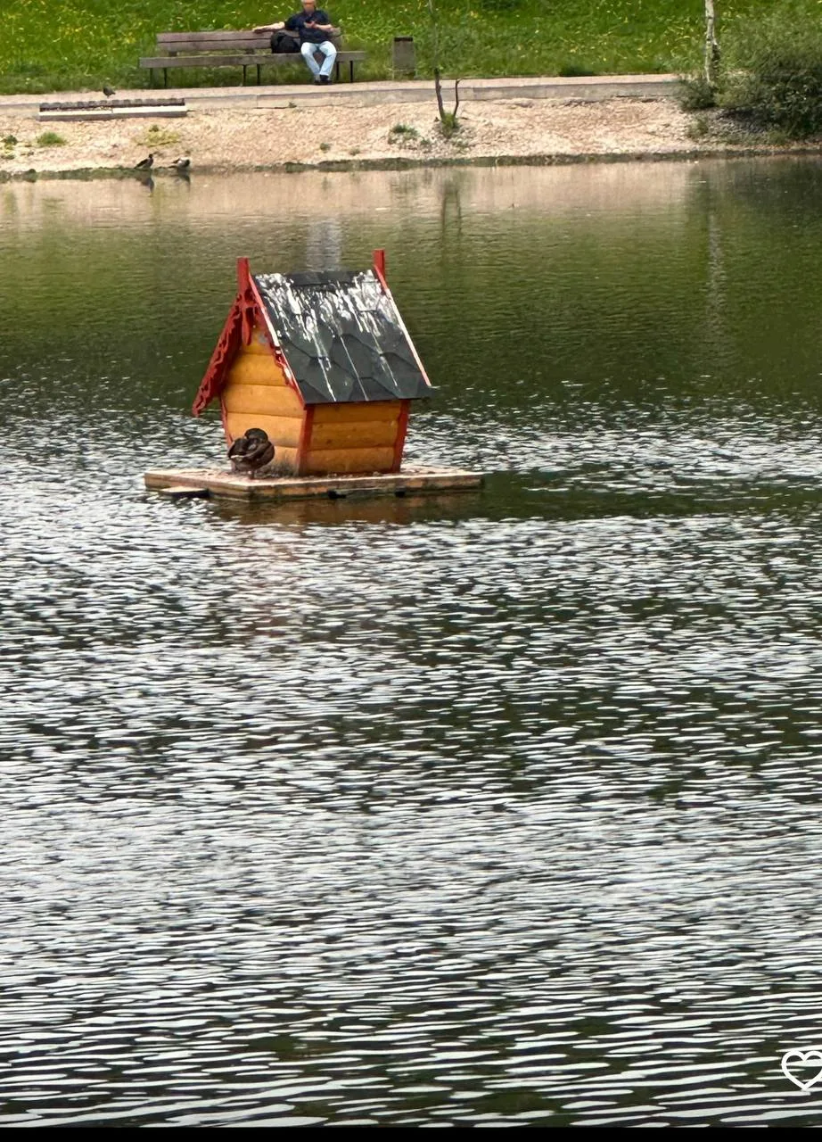 🦆А это те самые домики для уток в Центральном парке. Такие островки безопасности необходимы водопла
