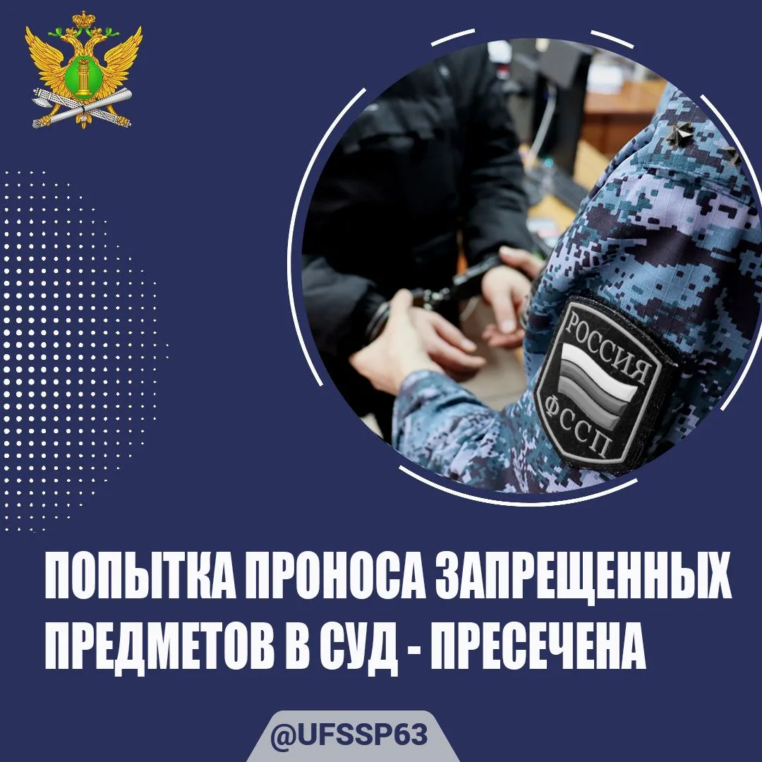 👤Местный житель, явившийся в один из районных судов г. Тольятти на судебное заседание, перед осмотр