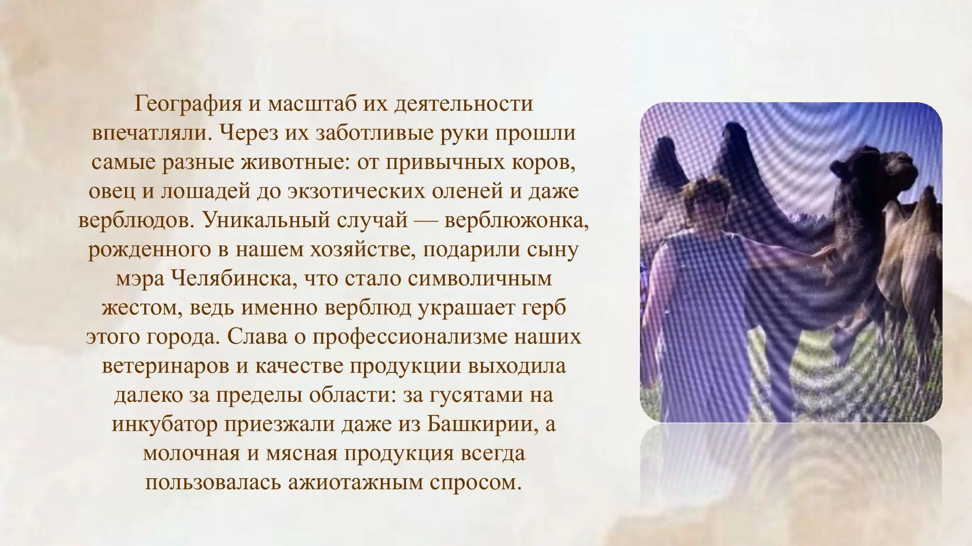 🐾 «Трудовые династии нашей семьи»🐾 В нашем конкурсе мы открываем страницы семейных историй, где проф