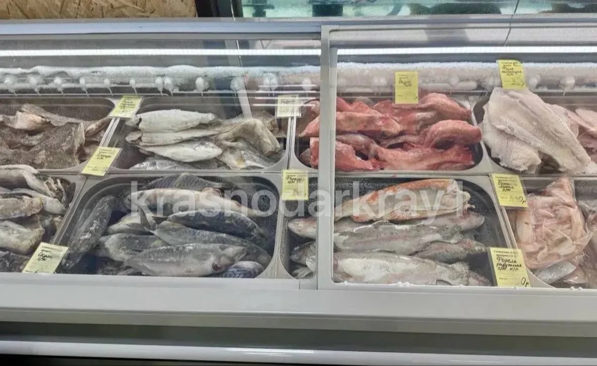 🐟 Более 150 кг нелегальной рыбы изъято в Сочи  В рамках ОПМ «Путина‑2026» операративники УВД по г. С