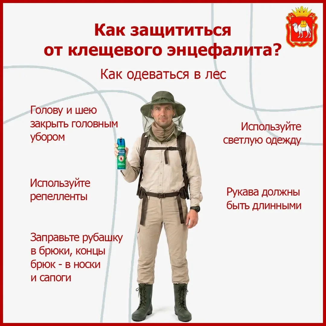 🌲 Клещевой энцефалит: как защитить себя?  Сезон активности клещей уже начался. Чтобы не рисковать зд