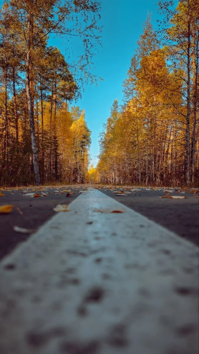 Желаем вам видеть красивое вокруг❤️