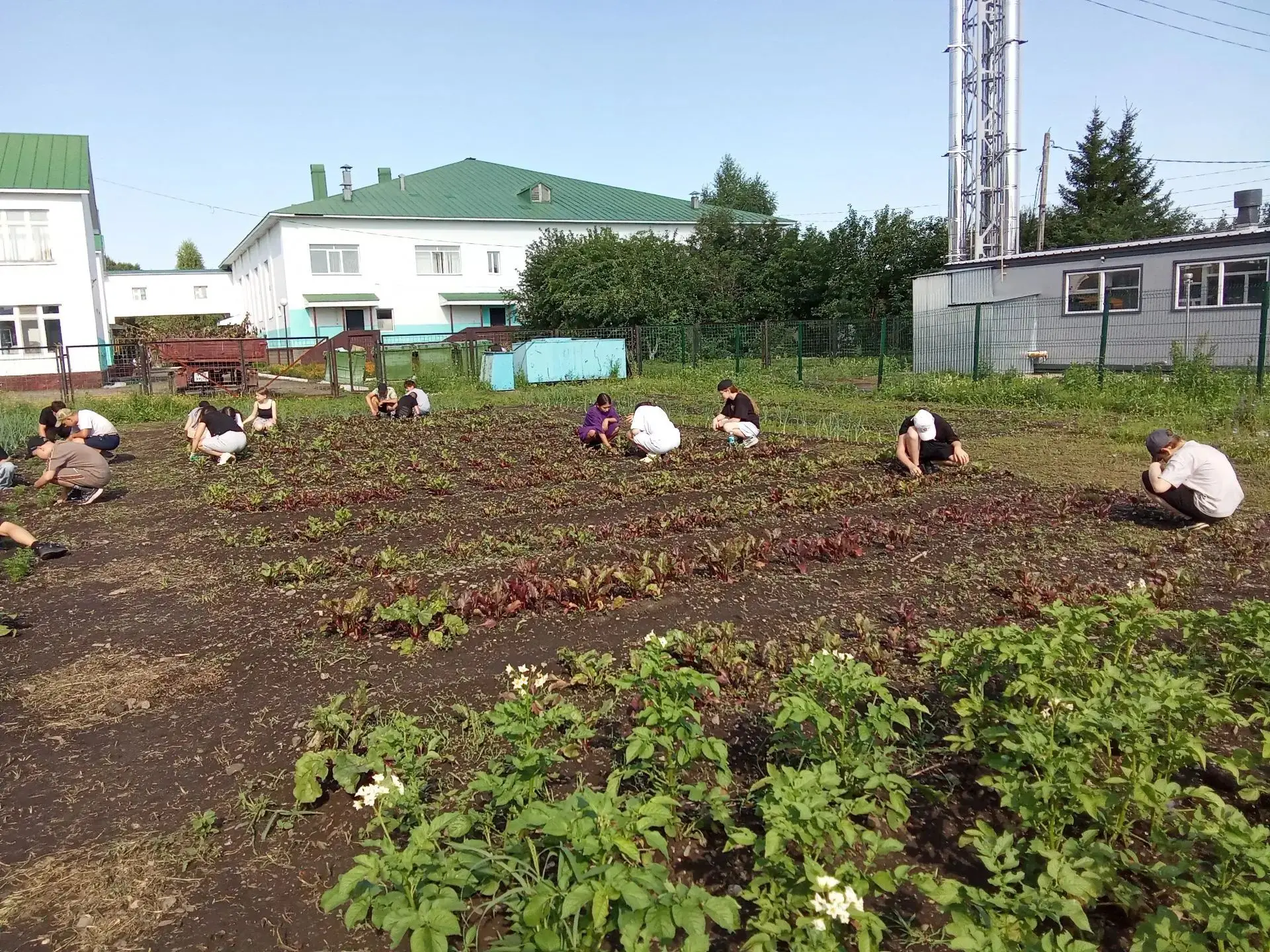 🌱 На пришкольном участке - порядок!

С 13 по 23 июля на пришкольном участке трудились учащиеся 8В и