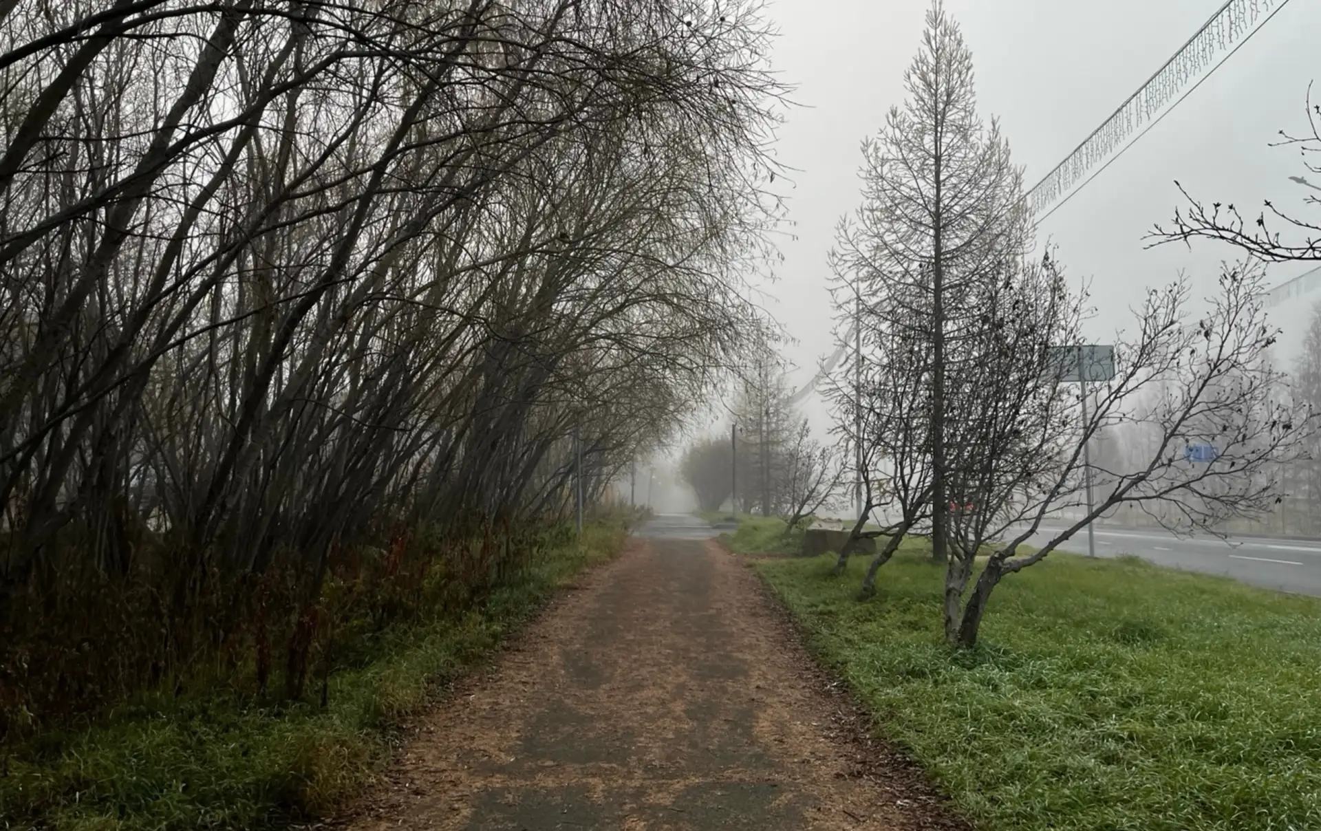 Лабытнангцы в тумане.