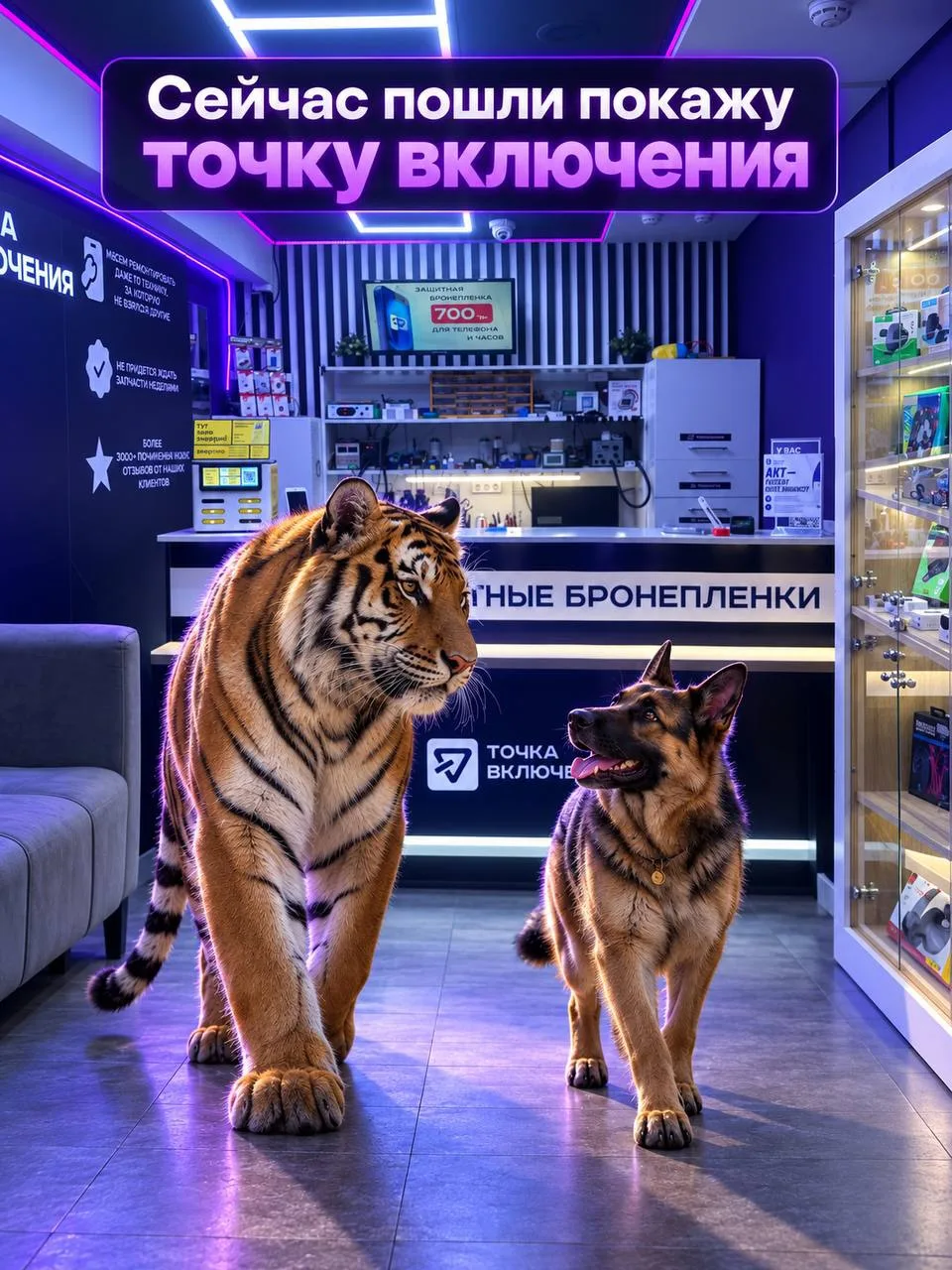 Вот так вот и живем, собачка 💜