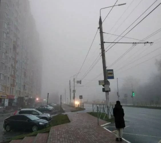 Брянская область, 8 октября: туман ночью и до +20 днём