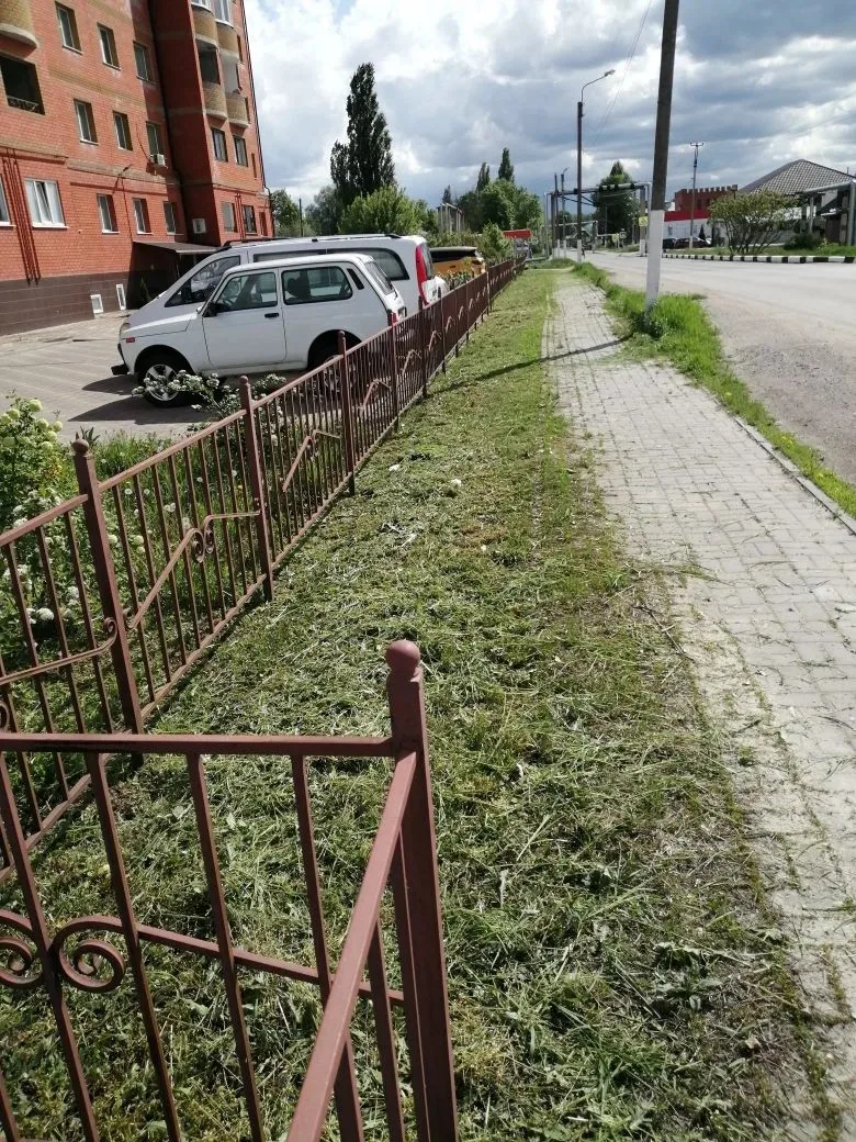 Покос травы улица Щорса дом 9 А