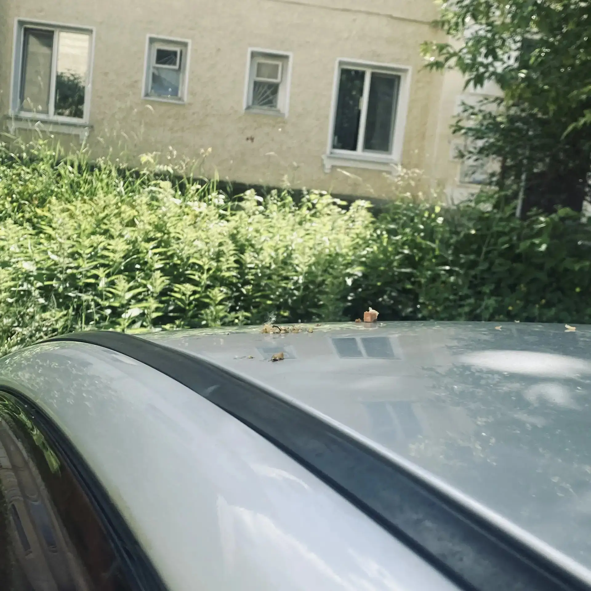 Вчера с Технической, 50 со второго этажа на машину кидали колбасу...