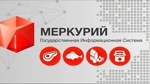 В Саранске частному детскому саду «Непоседы» выдано предостережение за нарушения ветери...