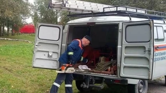 В детском парке Белозерска Нашей области произошел отрицательный рост дерева. Аварийный...