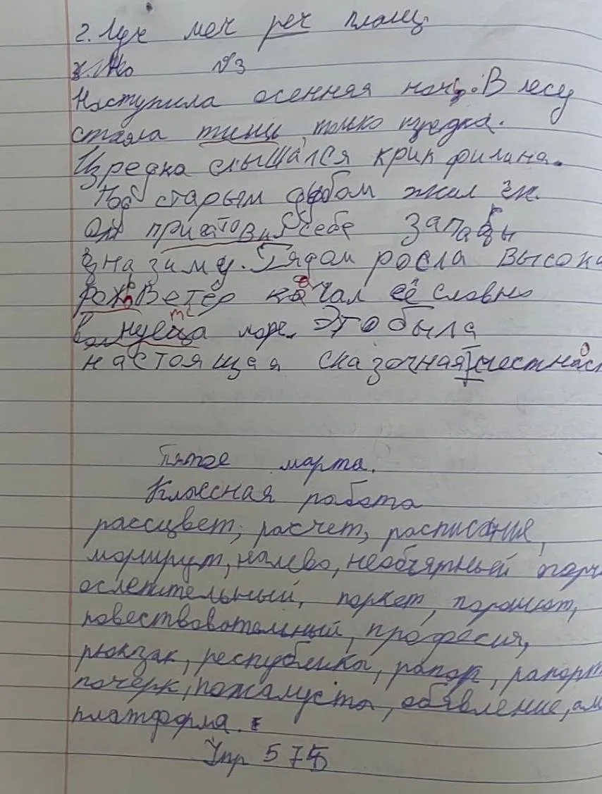 Недавно мы провели эфир для участников марафона «Тетрадь все расскажет», на котором разобрали работы