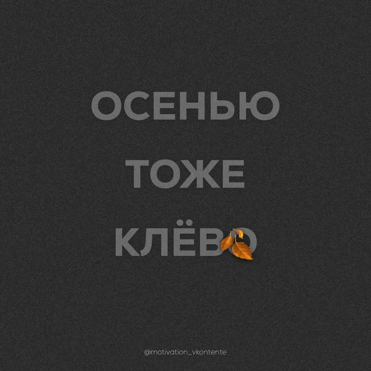Осенью тоже клёво 🍂
