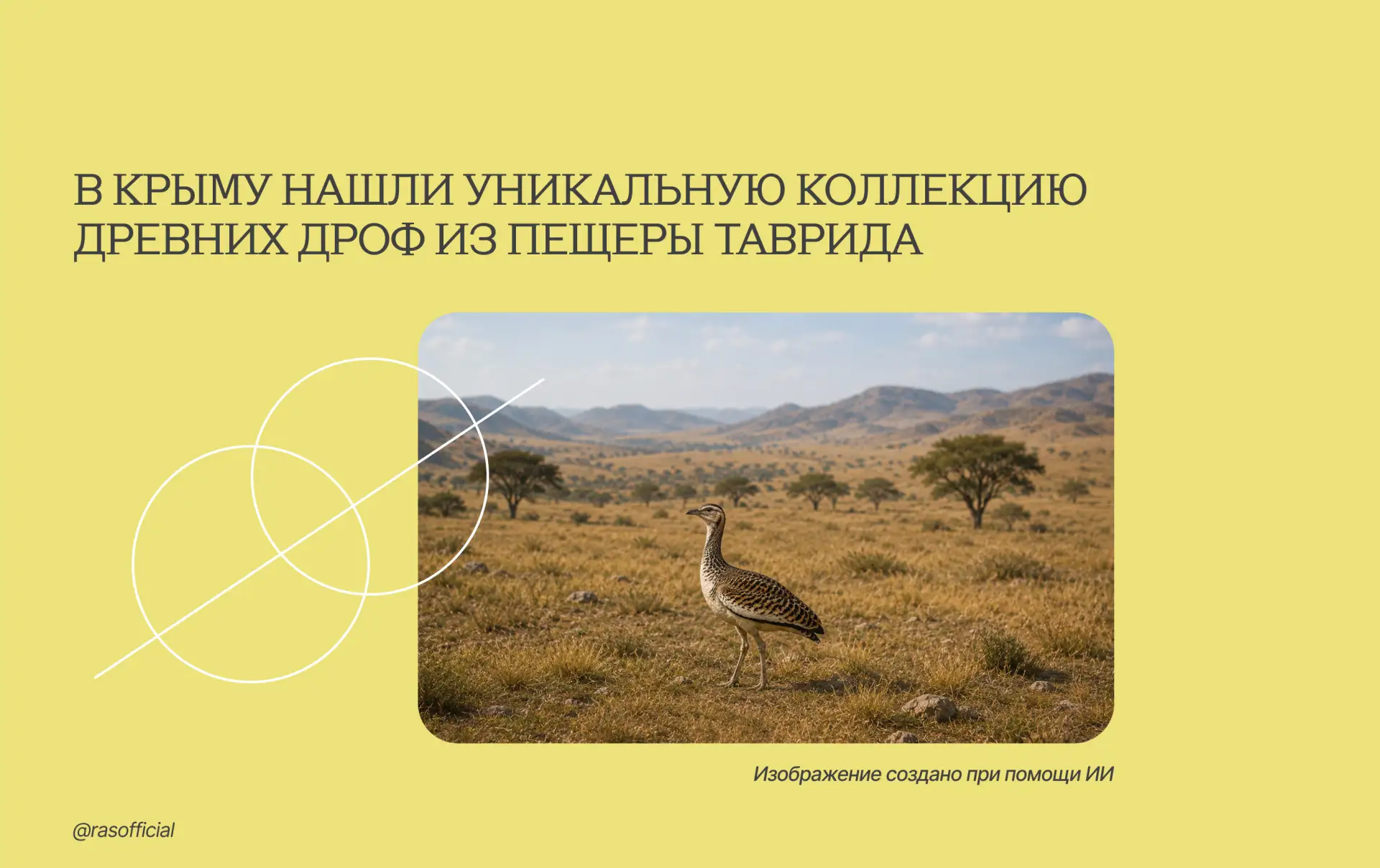 В Крыму нашли уникальную коллекцию древних дроф из пещеры Таврида

В пещере Таврида в Крыму палеонто