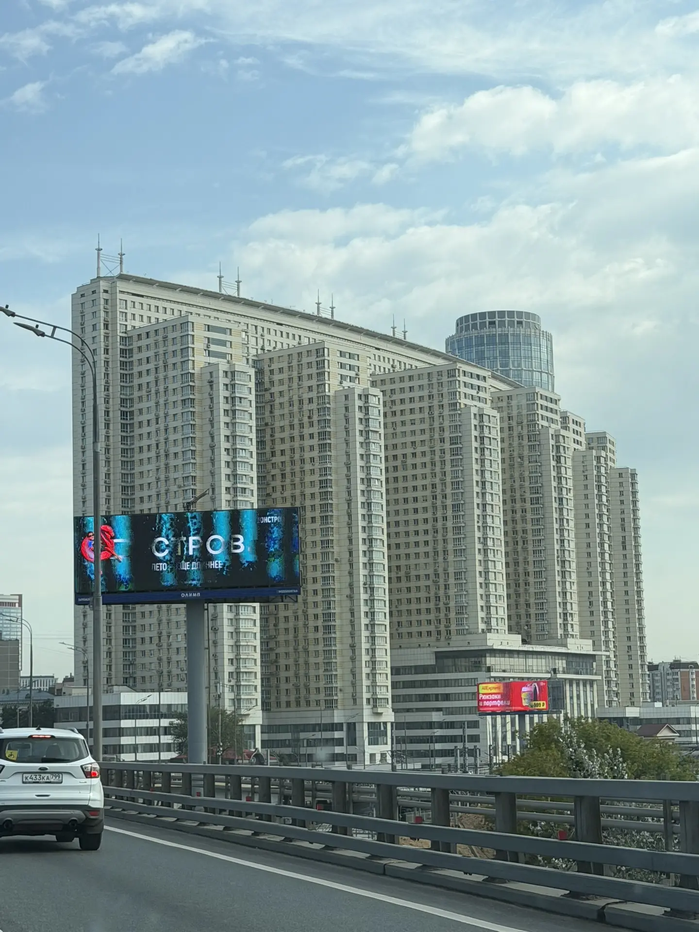 Человейник 🫣