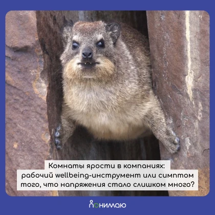 💡С одной стороны, идея кажется вполне понятной: люди устают, раздражаются, перегружают...
