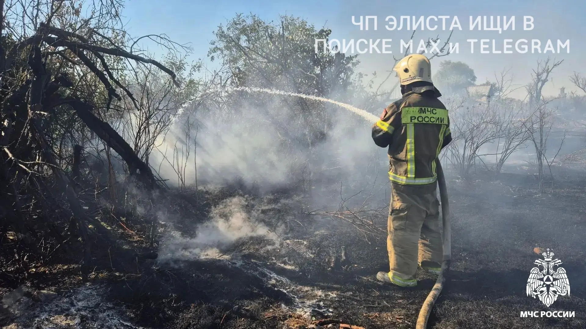 Изображение 1 к публикации «Чп Элиста / Калмыкия новости»