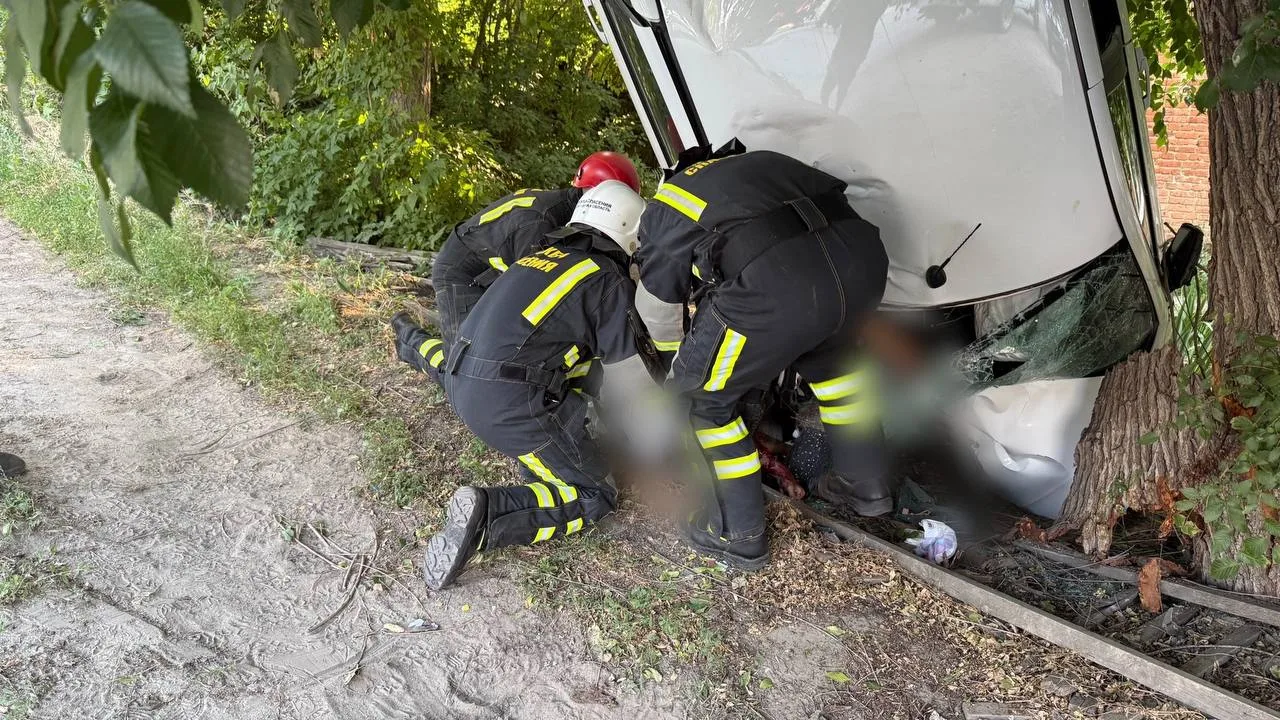 😨 В Саратове легковушка "повисла" вдоль дерева