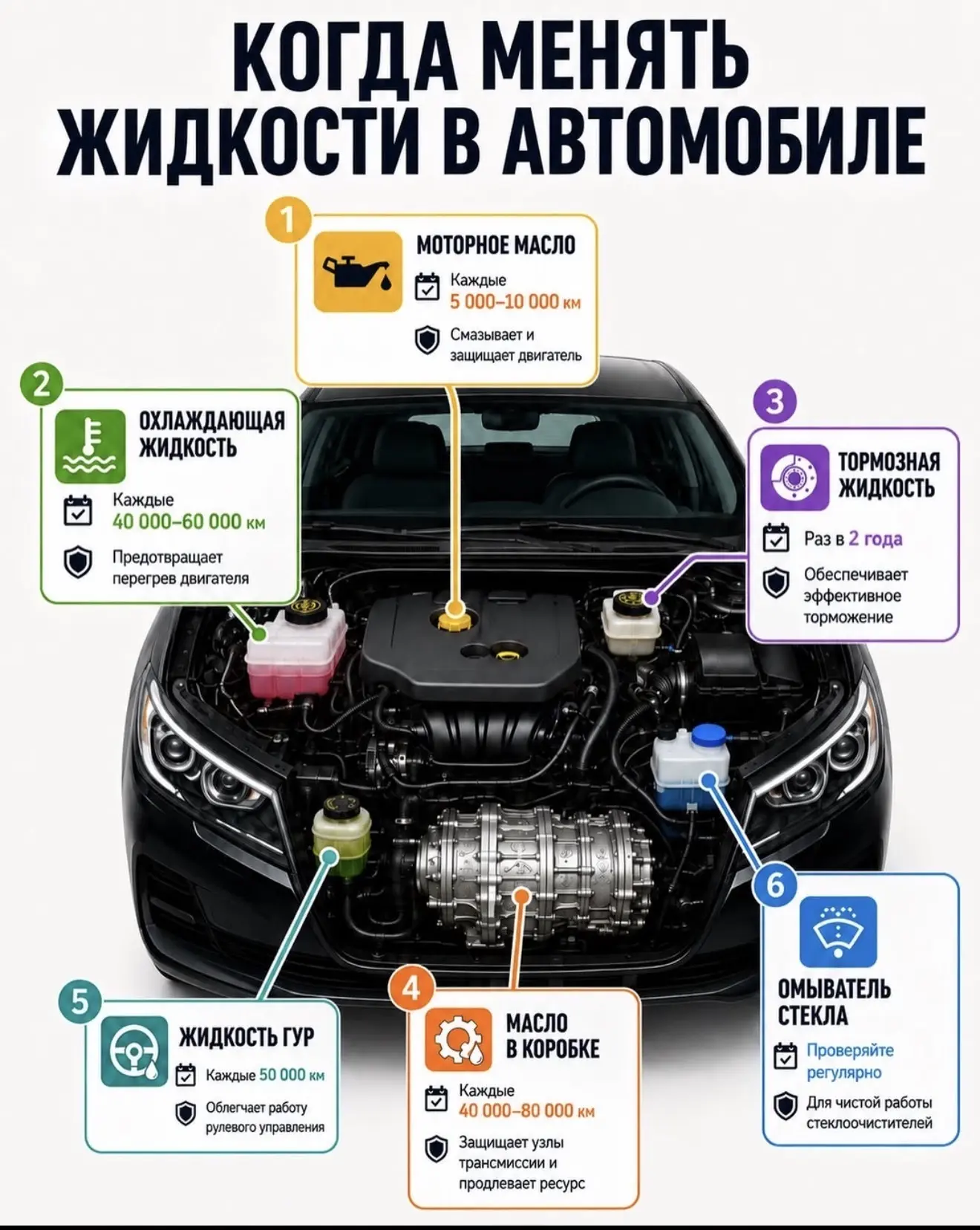 Важная информация про сроки замени жидкости в авто...