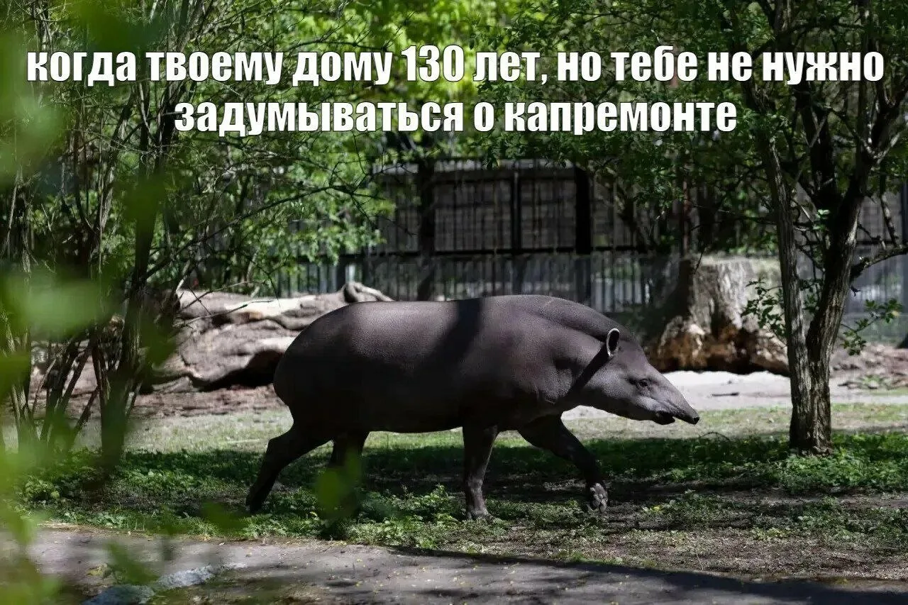 Ну и раз уж сегодня День нашего зоопарка, закончим весёлым постом с мемами о его обитателях, от реда