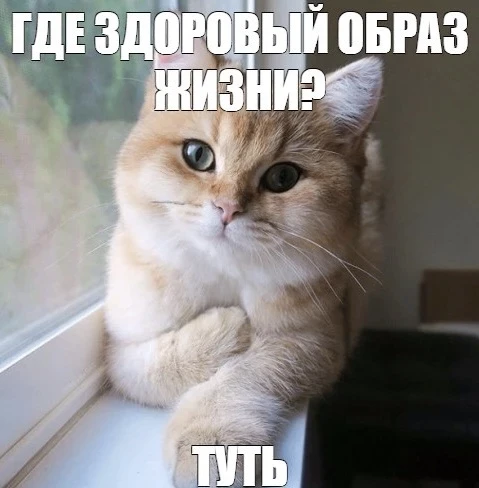 Жми ❤️, если также!