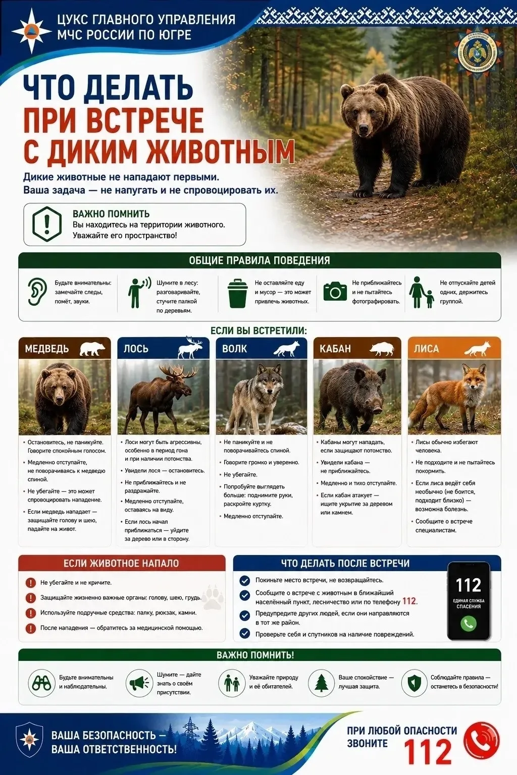 Тайга покрывает свыше половины площади Югры. 🌲🌍 Это естественная среда обитания для м...