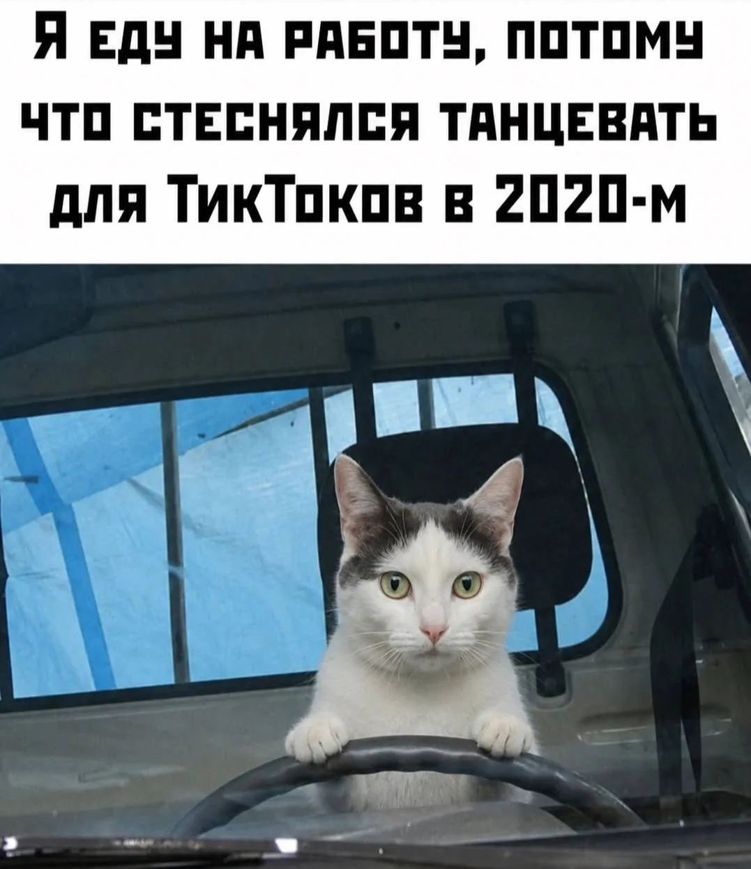 доброе утро, мои золотые! 

кстати, у меня был ТикТок в 2020 году. и даже подписчики были… но я брос