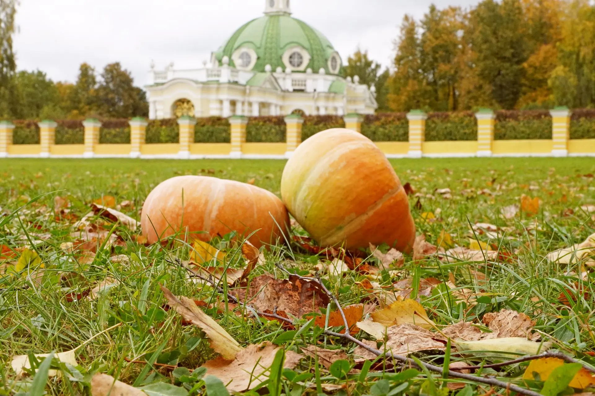 Самая осенняя детская программа в усадьбе Кусково
