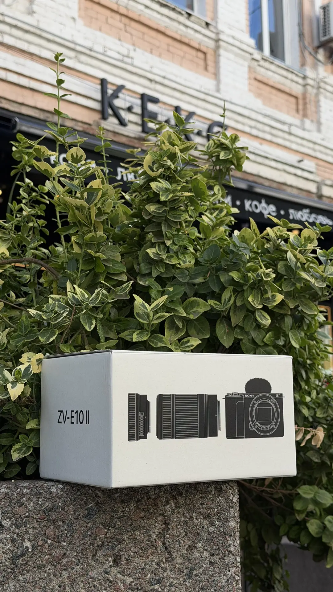 📸 Sony ZV-E10 II — камера, с которой хочется создавать контент