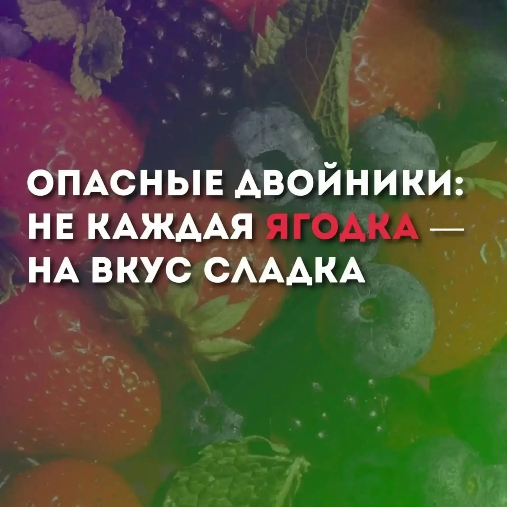 🍓Ягодка с подвохом: как яркие плоды могут ввести в заблуждение и навредить здоровью

🌞Лето — время