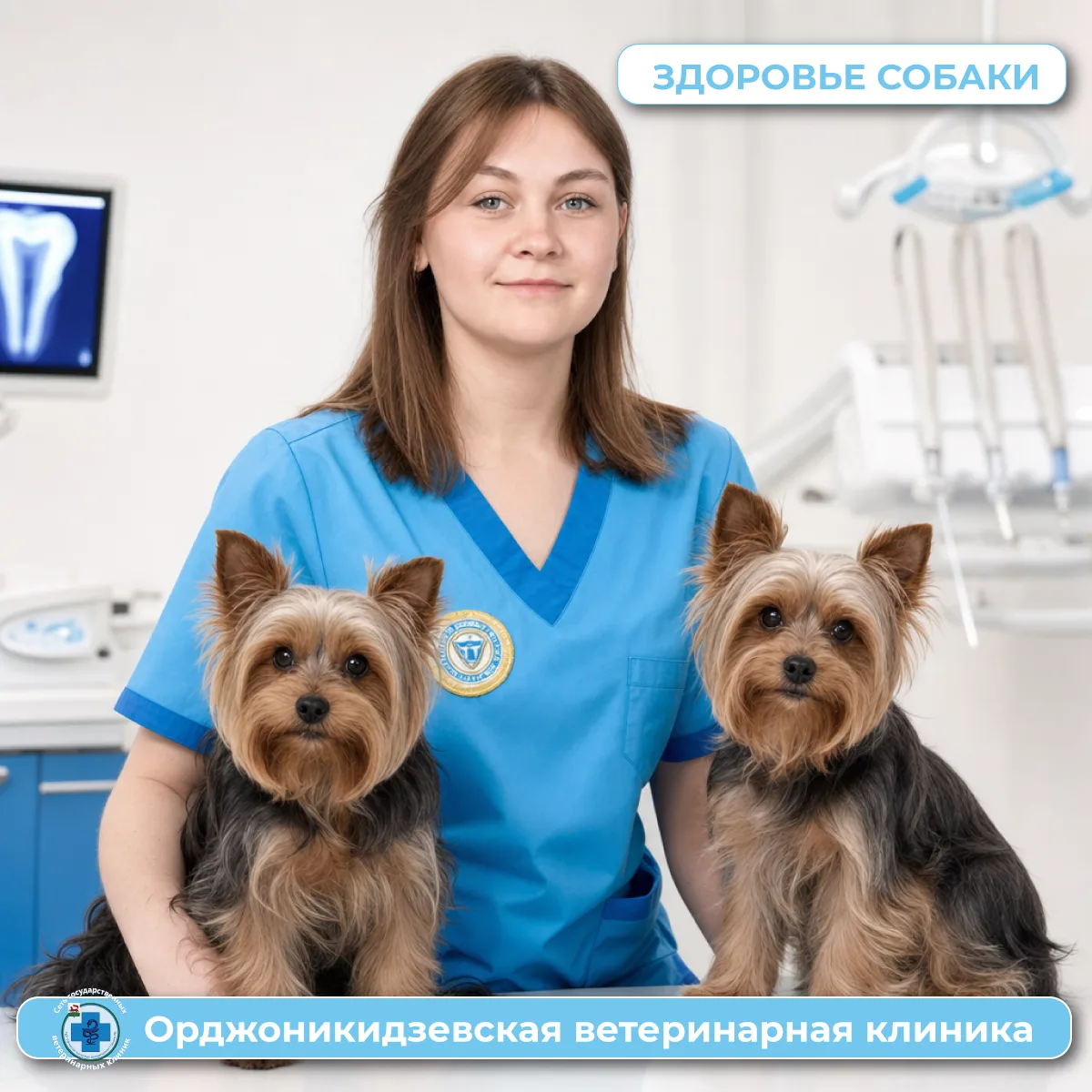 Знаете, запах изо рта у питомца — это не просто дискомфорт, а звоночек, который нельзя игнорировать.