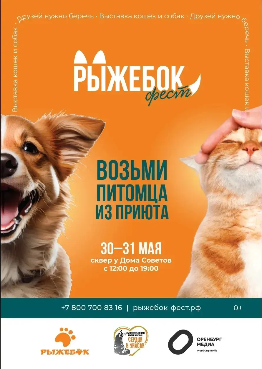 Добрый день! 🐾  Приглашаем всех к участию в фестивале «РыжебокФест»!  Это не просто выставка кошек и