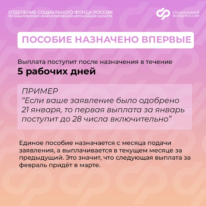 🤱 Когда поступит первая выплата единого пособия? В зависимости от жизненной ситуации сроки могут быт