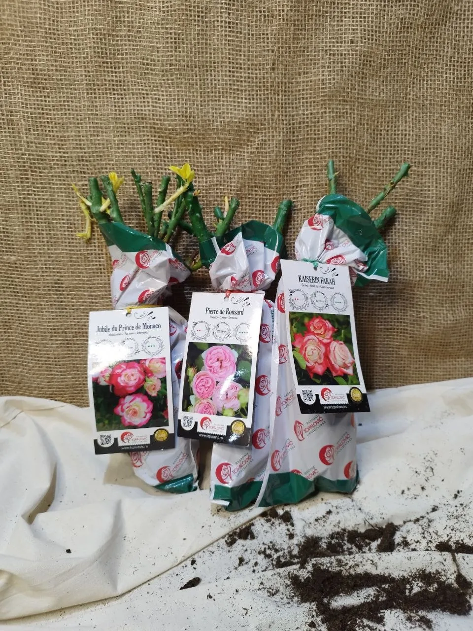 ПРАЙС «5 в 1» — МИНУС 30% НА ПРОФТОВАРЫ 2026 🌿