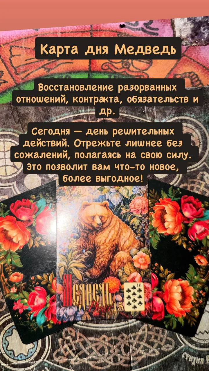 Карта дня Медведь.