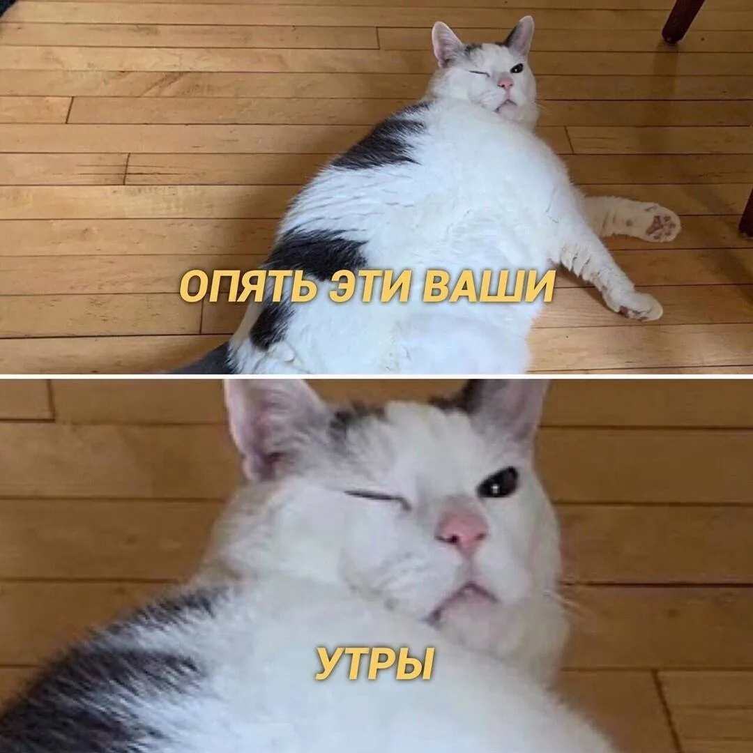 Всем легкой рабочей недели 🙃