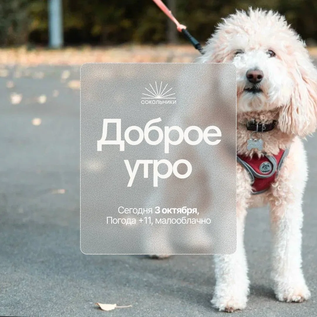 Доброе утро!