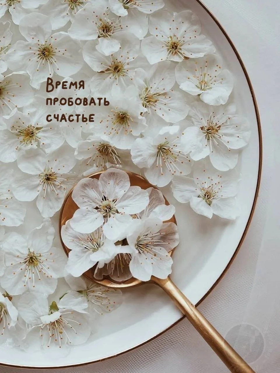 #доброесубботнее☀️