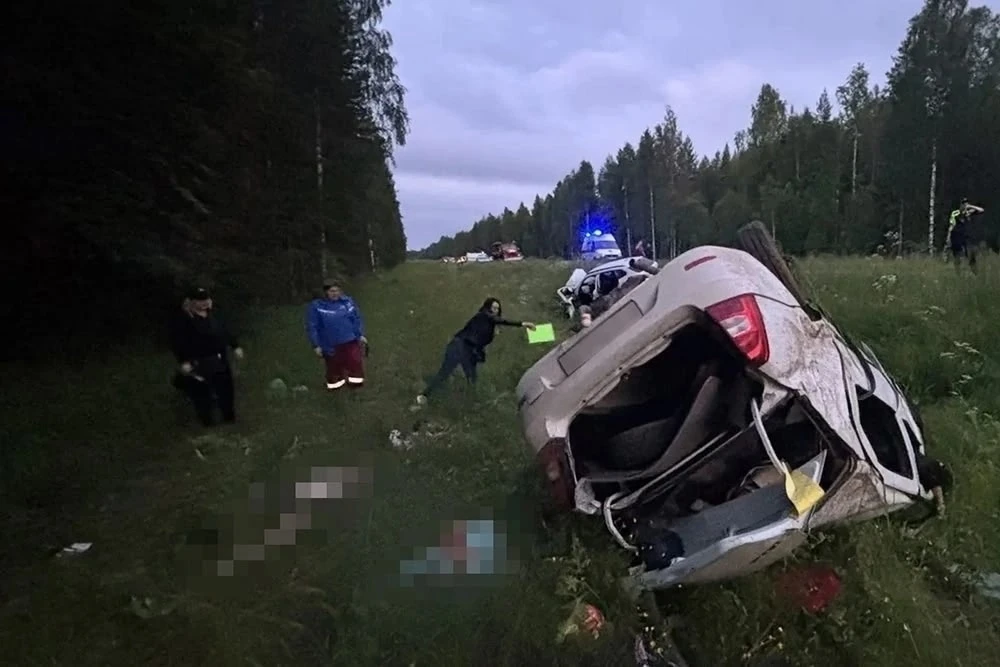 🚓😔 На трассе между Плесецком и Шелексой произошла авария, унесшая жизни пяти человек,...