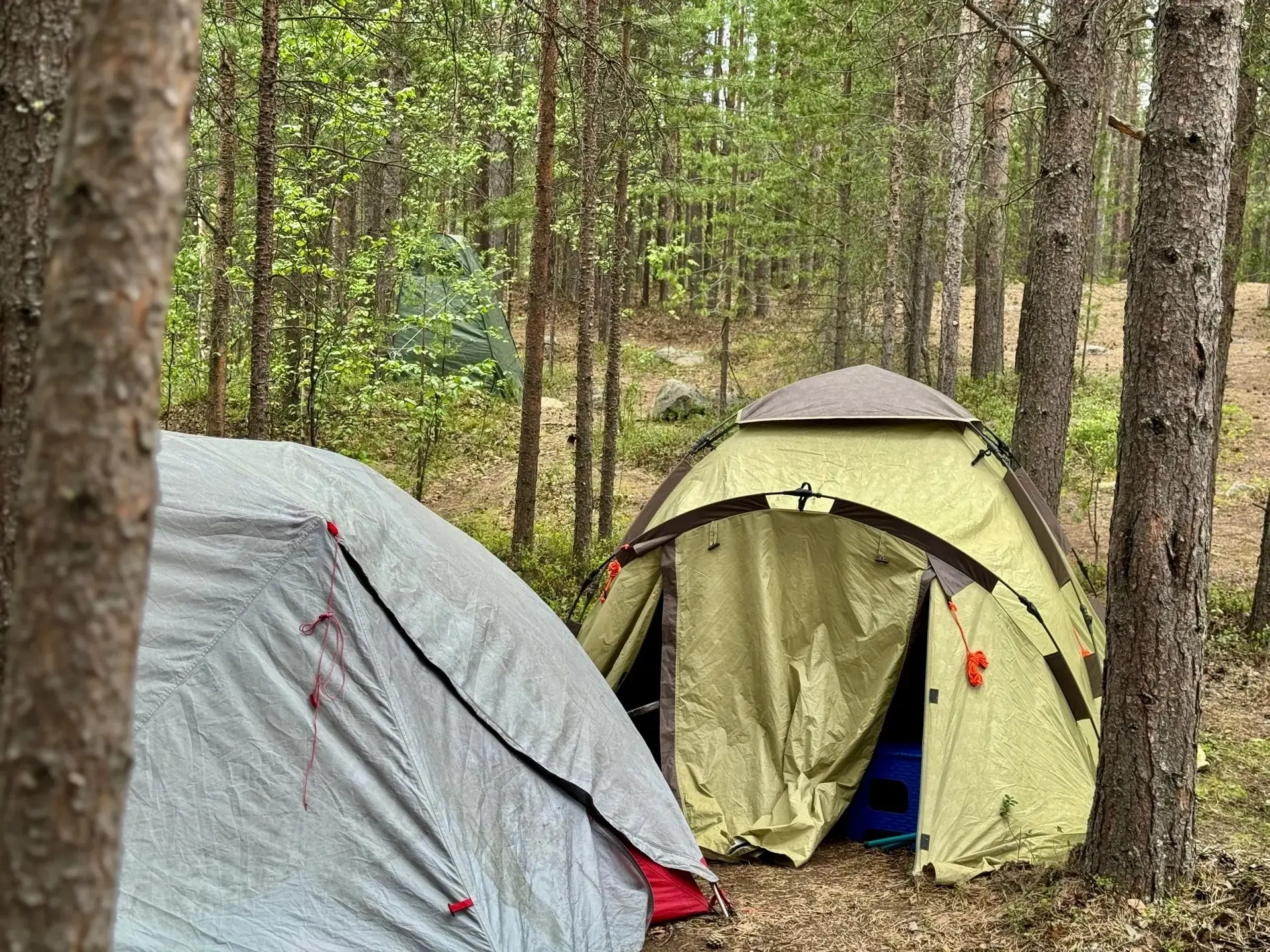 🏕 На реке Куреньга вблизи Оленегорска провели историко-поисковую экспедицию «Фронт.361 ЗАП»
 
Место