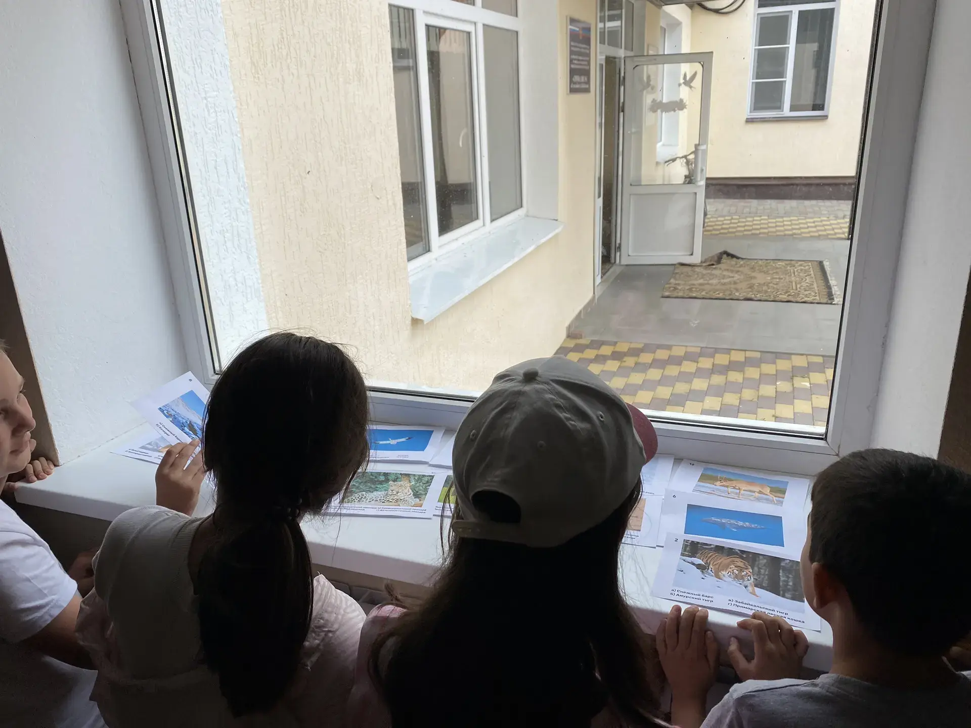 Гимназисты приняли участие во Всероссийской акции «Код природы»
На базе пришкольного лагеря Гимназии