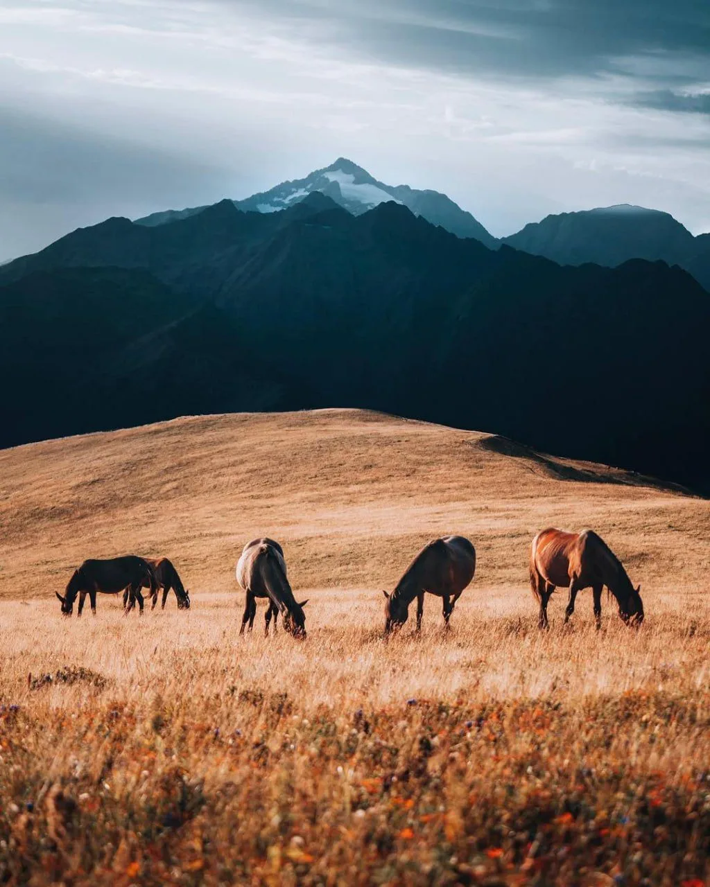🏔 Гора Табунная