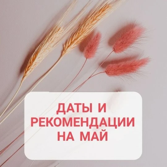 ☀РЕКОМЕНДАЦИИ